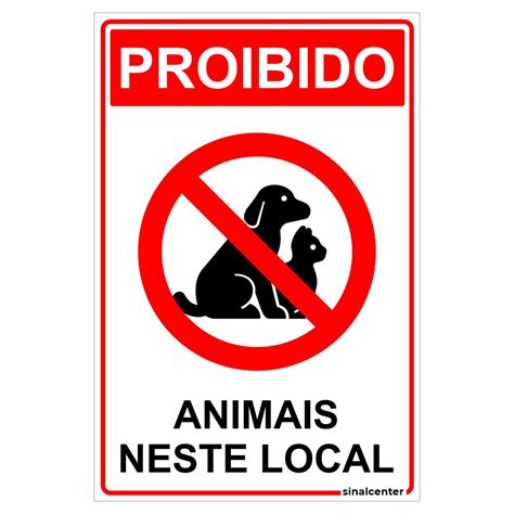 Cão e Gato 2025